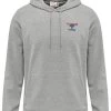 Hummel Hoodie "IC Dayton" In Grau