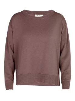 Icebreaker Sweatshirt "Dalston" In Braun